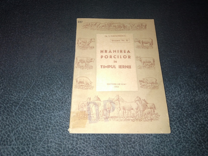 I IORDANESCU - HRANIREA PORCILOR IN TIMPUL IERNII 1951