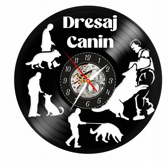 DRESAJ-ceas de perete (personalizabil)