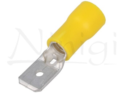 Papuc 6.3mm tata galben izolat foto