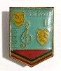 INSIGNA PIONIER INTERPRET CLASA A II A EMAIL CALD PIONIERI ( CITITI DESCRIEREA )