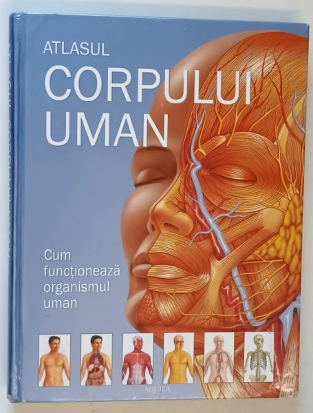 ATLASUL CORPULUI UMAN , CUM FUNCTIONEAZA CORPUL UMAN , 2002 *PREZINTA URME DE UZURA SI HALOURI DE APA