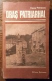 Cezar Petrescu - Oras patriarhal