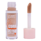 Concealer Corector Ushas #11