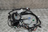 Cablaj ușă dreapta față TESLA MODEL 3 2022 OEM: 3067963-02-C 25408603