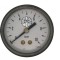 Manometru filet spate, 50 mm, Influent Economic TS5039