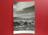 CARTE POSTALA - RPR - PEISAJ MARIN