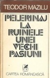 Pelerinaj la ruinele unei vechi pasiuni. Iubiri contemporane - Teodor Mazilu