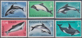 FALKLAND - 1980 - DELFINI, Fauna, Nestampilat