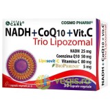 NADH + Coenzima Q10 + Vitamina C Trio Lipozomal 30cps vegetale