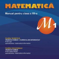 Matematica - Clasa 12 M1 - Manual - Marius Burtea, Georgeta Burtea