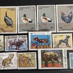 Lot de 16 timbre fauna 1