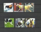 MAREA BRITANIE 2008 FAUNA ANIMALE DOMESTICE CAINI
