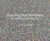 Running the Numbers: An American Self-Portrait | Chris Jordan, Prestel