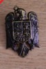 QW14 - Emblema militara / cuc - uscat - piesa de colectie