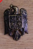 QW14 - Emblema militara / cuc - uscat - piesa de colectie