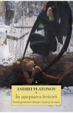 In asteptarea fericirii. Noua povestiri despre viata si moarte - Andrei Platonov