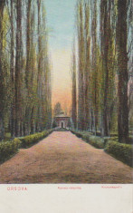 Orsova aprox. 1910 - Capela foto