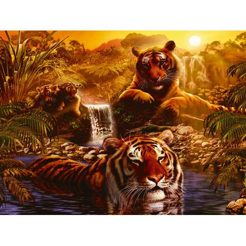 Puzzle Tigri, 2000 Piese Puzzle Tigri, 2000 Piese