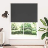 Jaluzea opacă rulabilă, 140 x 230 cm, negru, vidaXL