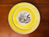 FARFURIE DIN PORTELAN VILLEROY &amp; BOCH- COLECTIA INDIA D23,2CM