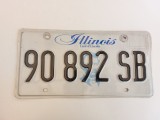 Illionis Inmatriculare USA original, decor de perete