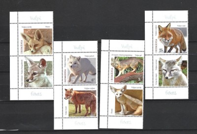 ROMANIA 2025 - VULPI, VINIETA 2, MNH - LP 2507 foto