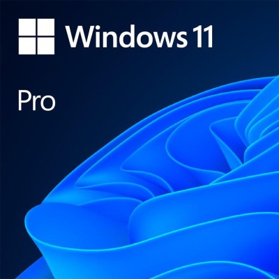 LIC OEM WIN 11 PRO 64BIT RO foto