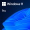 LIC OEM WIN 11 PRO 64BIT RO