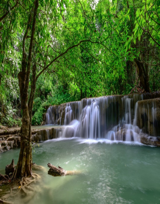 Fototapet autocolant Cascada44 Cadere de apa in padurea verde, 150 x 205 cm