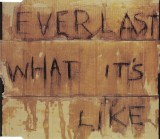 Everlast - What It's Like CD Single, Casa de Discuri: Tommy Boy