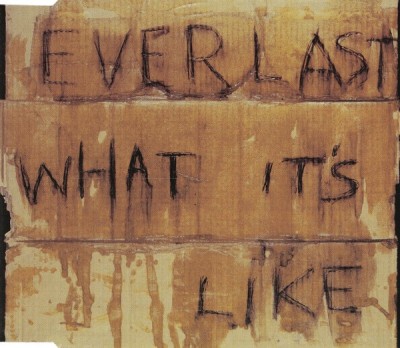 Everlast - What It&amp;#039;s Like, CD foto