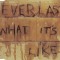 Everlast - What It's Like, CD