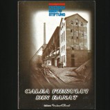CALEA FIERULUI DIN BANAT - CARAȘ-SEVERIN - REȘIȚA - ORAVIȚA