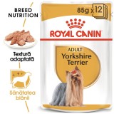 Hrana umeda caini, Royal Canin Yorkshire Terrier, plic 85 g, talie mica, adult, pate