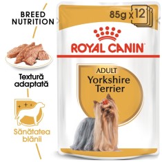 Hrana umeda caini, Royal Canin Yorkshire Terrier, plic 85 g, talie mica, adult, pate