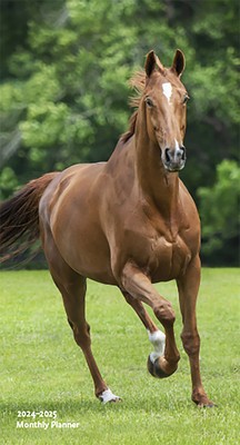 Horse Lovers 2024 Pocket Planner foto