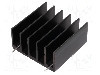 Radiator extrudat, aluminiu, 30mm x 30mm, neagra, STONECOLD - RAD-DY-GF/3