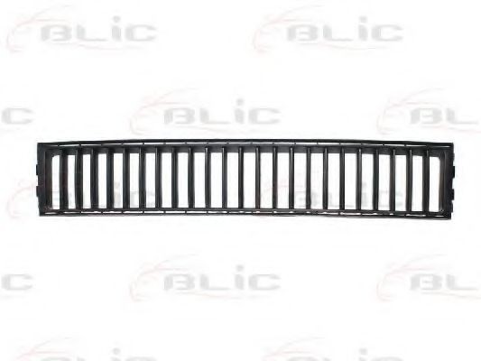 Grila ventilatie, bara protectie SKODA FABIA I (6Y2) (1999 - 2008) BLIC 6502-07-7514996P