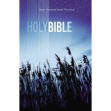 NIV, Value Outreach Bible, Paperback
