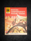 TAMARA GRANEANU - SFATURI GOSPODARESTI PENTRU TINERE (Colectia Caleidoscop)