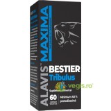 Bestier Tribulus 60cps vegetale