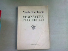 SEMNATURA FULGERULUI - VASILE NICOLESCU foto