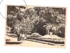 CP Buzias - In parc, RPR, circulata 1955, animata, mica pata, Printata