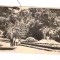 CP Buzias - In parc, RPR, circulata 1955, animata, mica pata