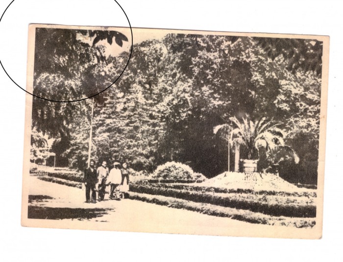 CP Buzias - In parc, RPR, circulata 1955, animata, mica pata