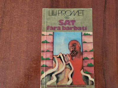 Sat fara barbati de Lili Promet foto