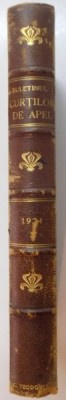 &amp;#039;&amp;#039;BULETINUL CURTILOR DE APEL&amp;#039;&amp;#039;, ANUL I 1924 foto