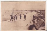 Bnk cp Constanta - Plaja moderna - necirculata - Libraria noastra, Printata
