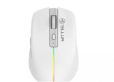 Cumpara ieftin Mouse wireless Tellur Silent Click, interfata USB, rezolutie 1600 DPI,