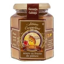 Miere cu Catina si Fructe de Padure Apicola 360gr Cod: appg00018 foto